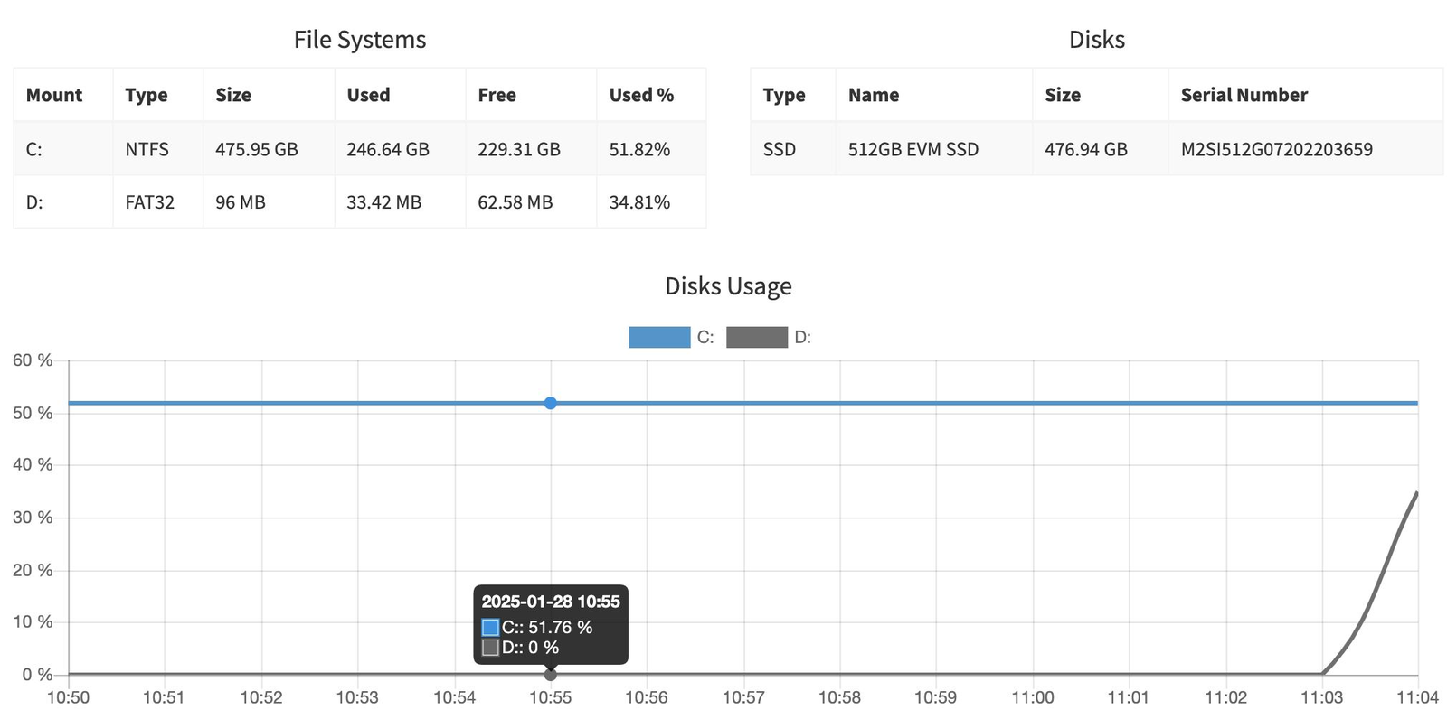 File systems, disks, and disk usage charts for a monitored server